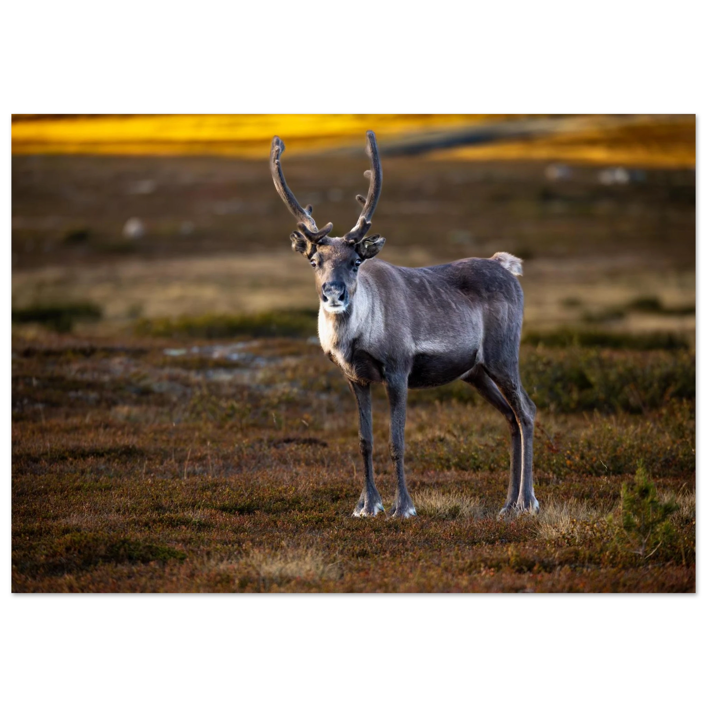 0076b3c1-a9a7-49ac-917e-03252fcd358a