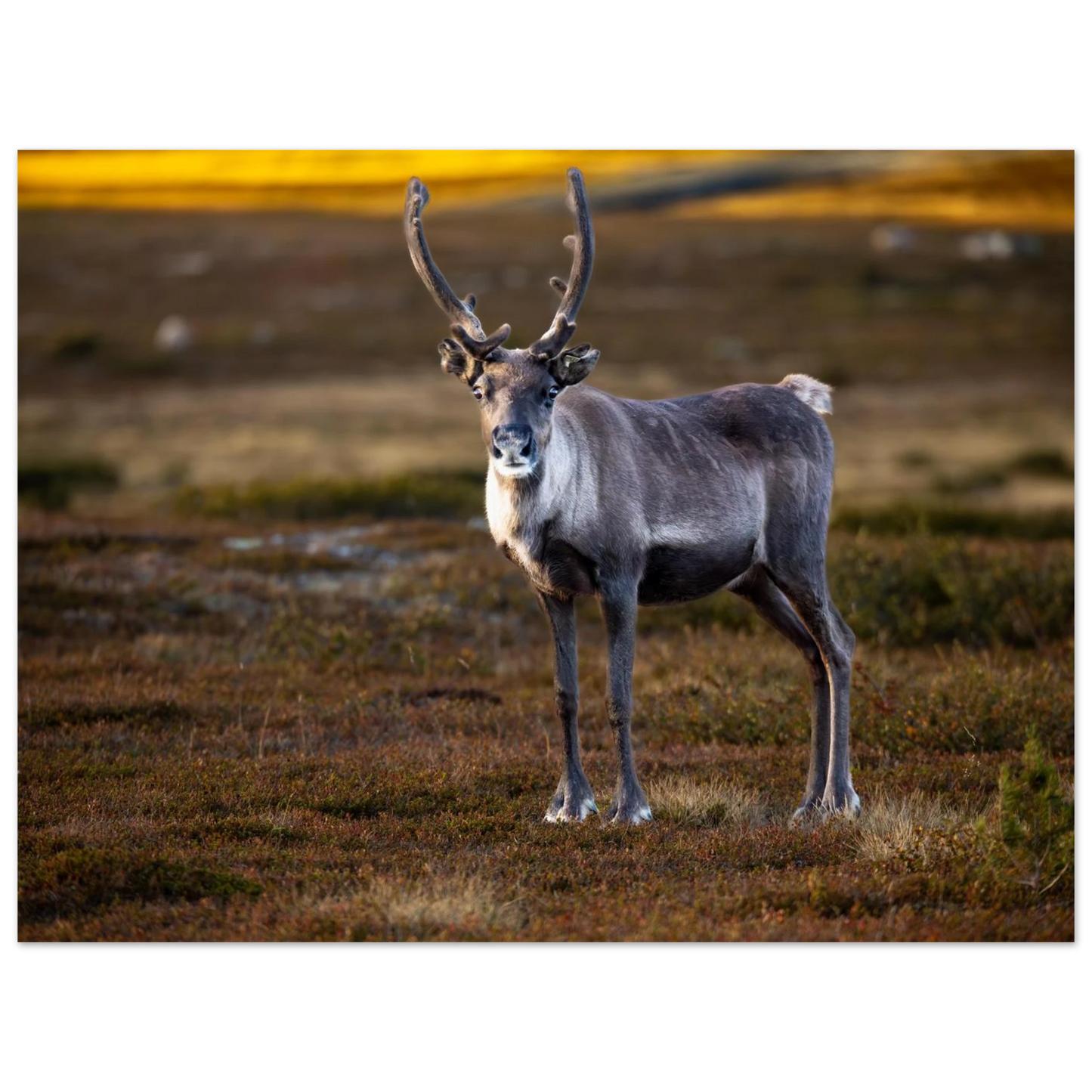 062cbdbd-87b5-4e5c-a9fa-7810e0402aff