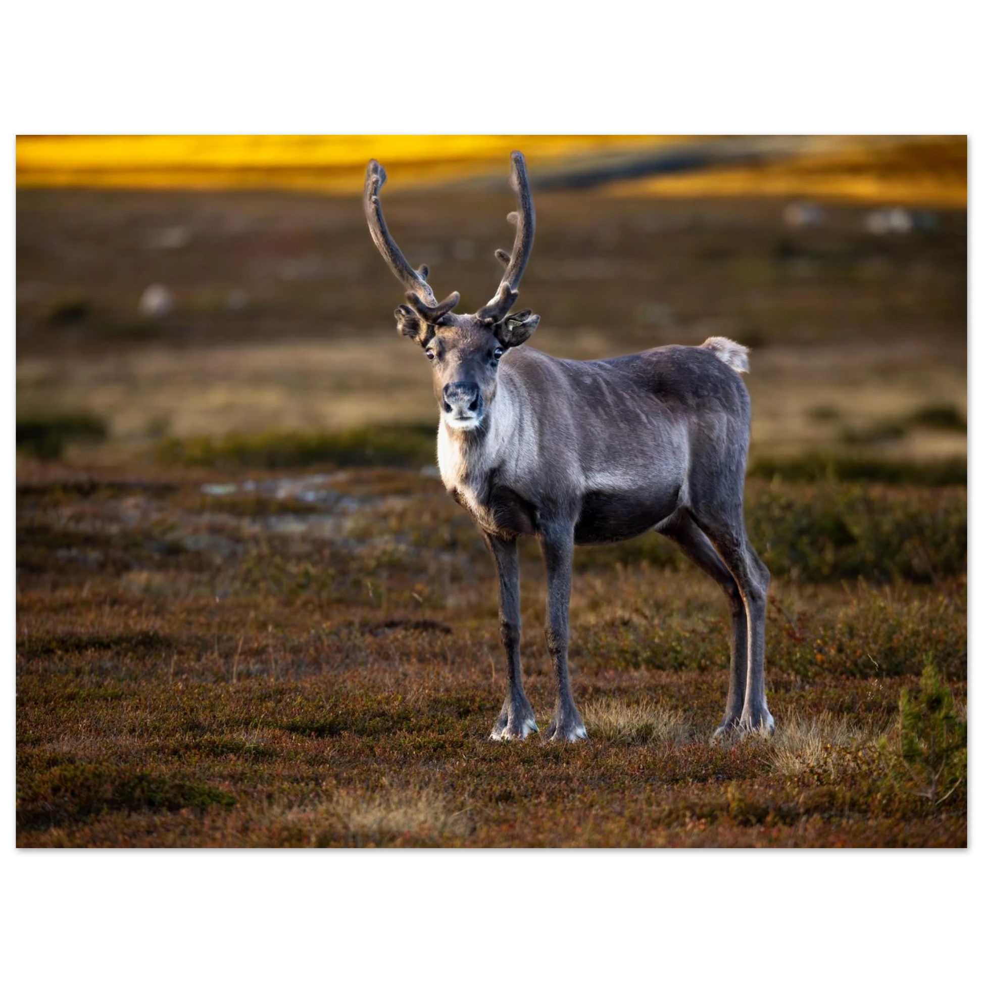 062cbdbd-87b5-4e5c-a9fa-7810e0402aff