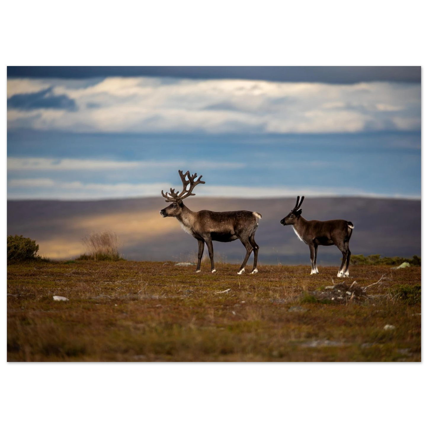 0d8286e9-ddc8-4bee-9597-e9939ef2a93c