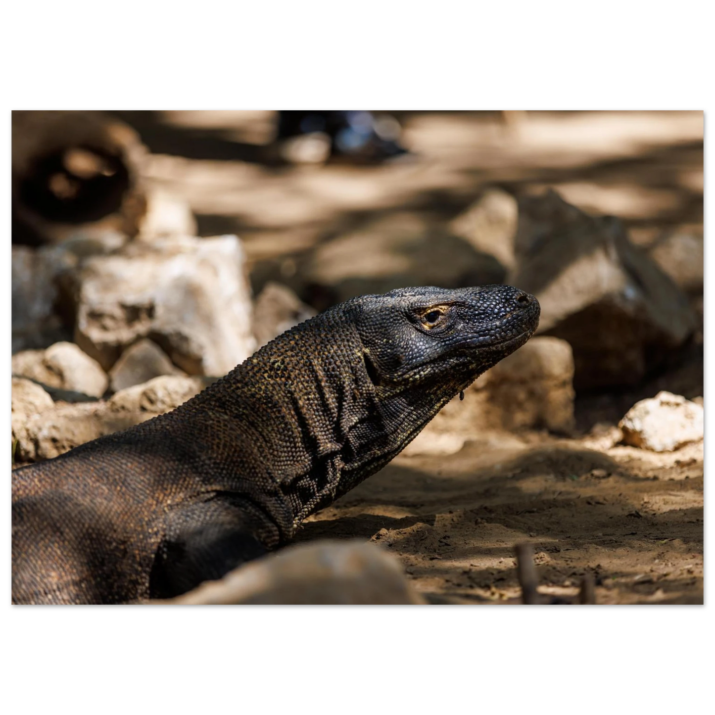 0d8cc0ca-f887-49a4-8ef7-c02241247388