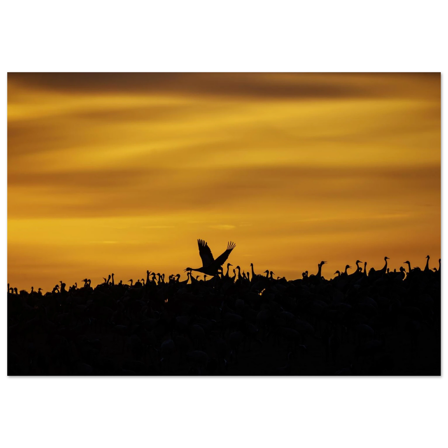 13927733-48f0-46b0-9d60-d2dd45ae467e