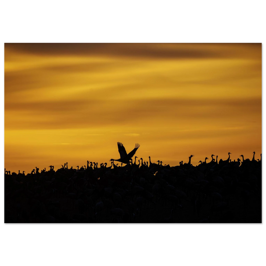 13927733-48f0-46b0-9d60-d2dd45ae467e