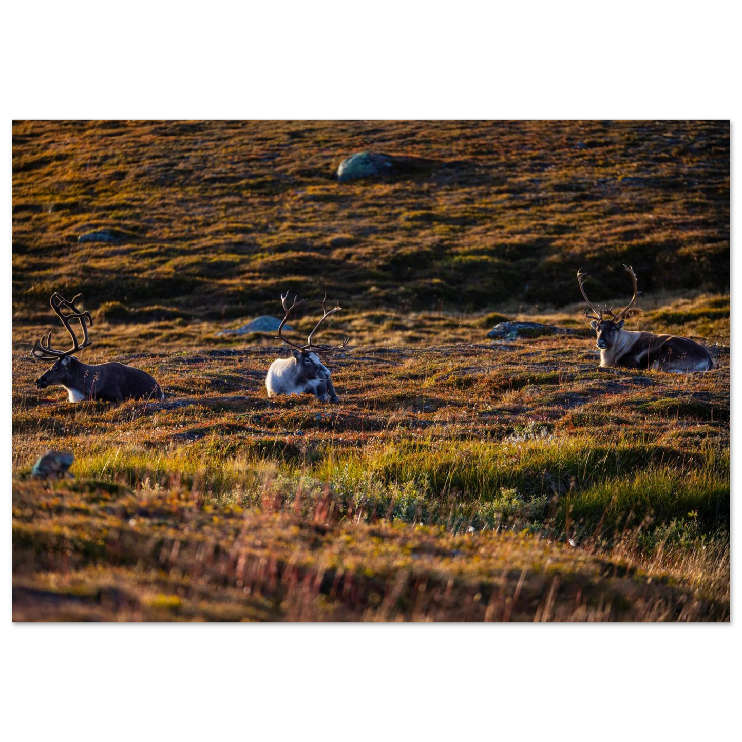 155ef2cd-48a9-4c30-baa7-9e08f02d6832