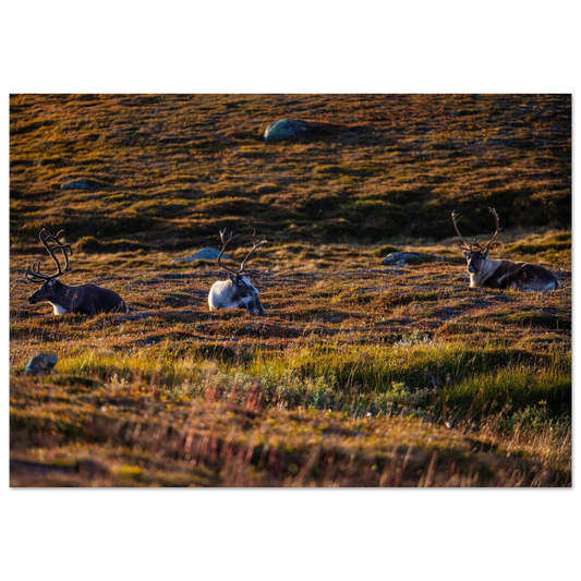 155ef2cd-48a9-4c30-baa7-9e08f02d6832