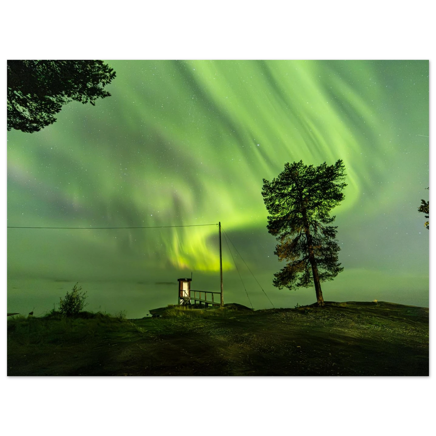 161981eb-b0c7-4eda-ae95-df37dc3abb92