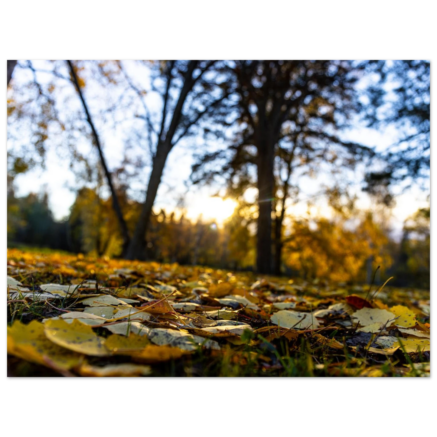 1b00f586-dbf1-4e98-9434-02ddafcad2a0