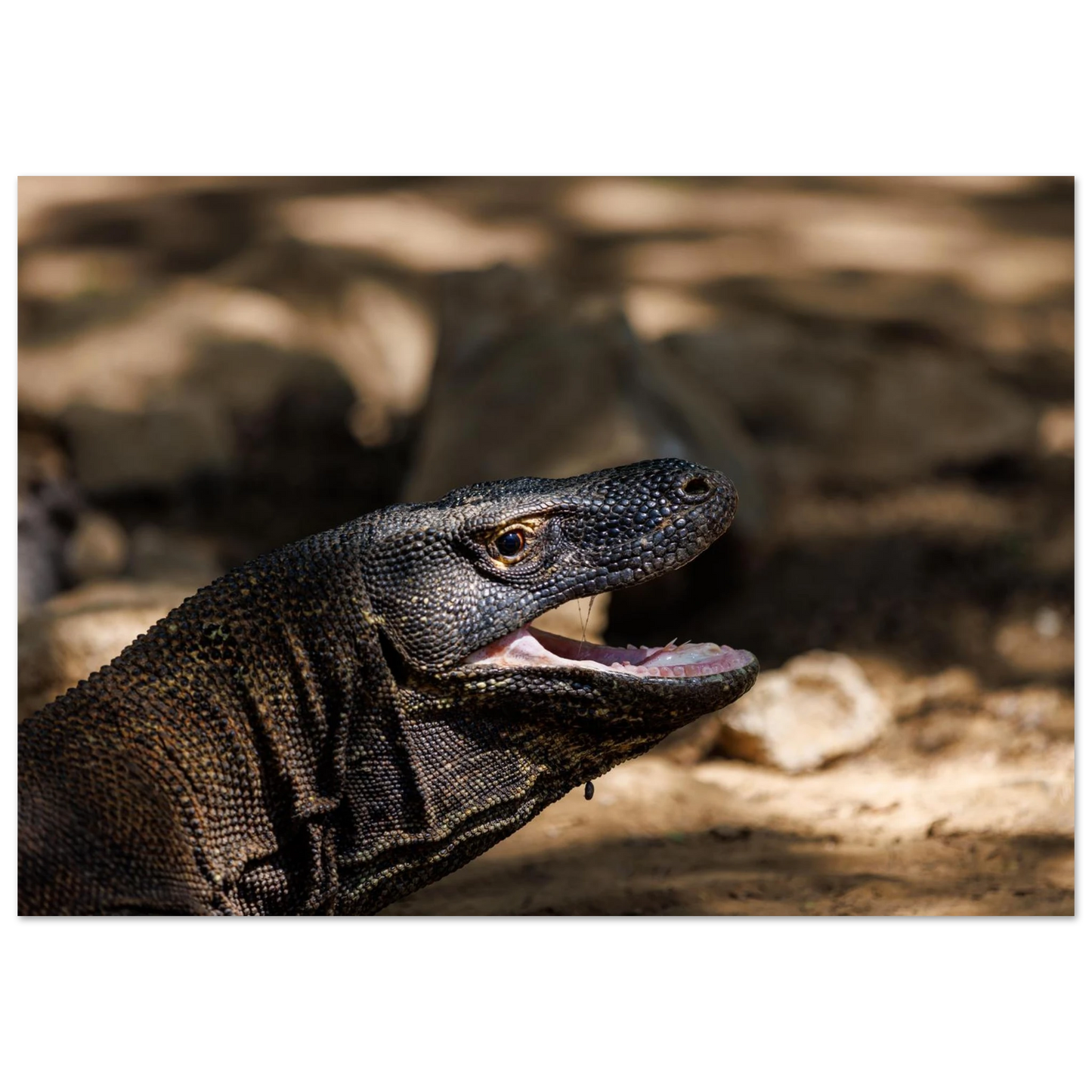 1e423b42-fd36-4d00-b4e4-d02bda26829a