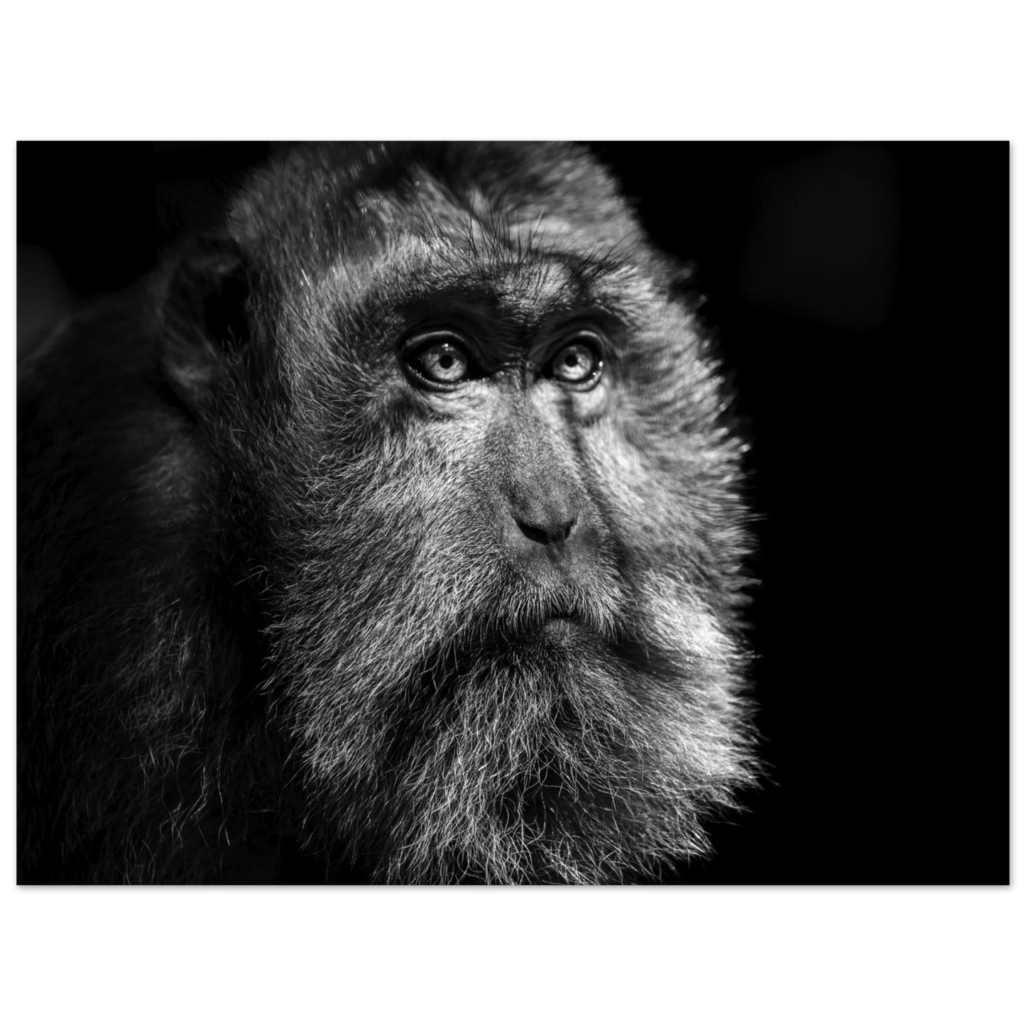 2a94340b-88bc-4096-b452-bad146dec0f0