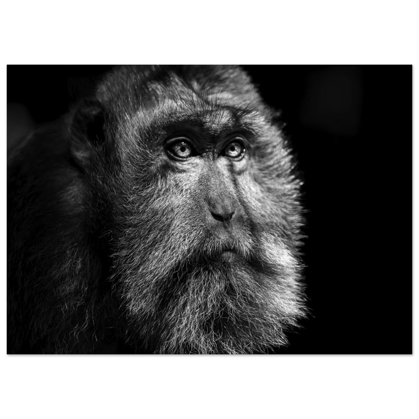 2abe76db-01b5-43f8-8226-8ca8b67db10a