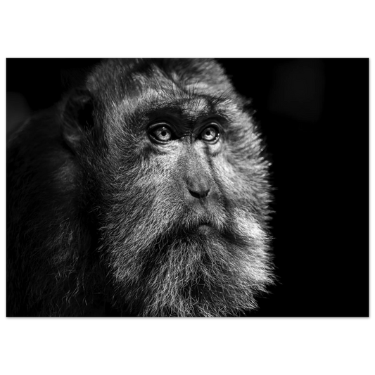 2abe76db-01b5-43f8-8226-8ca8b67db10a