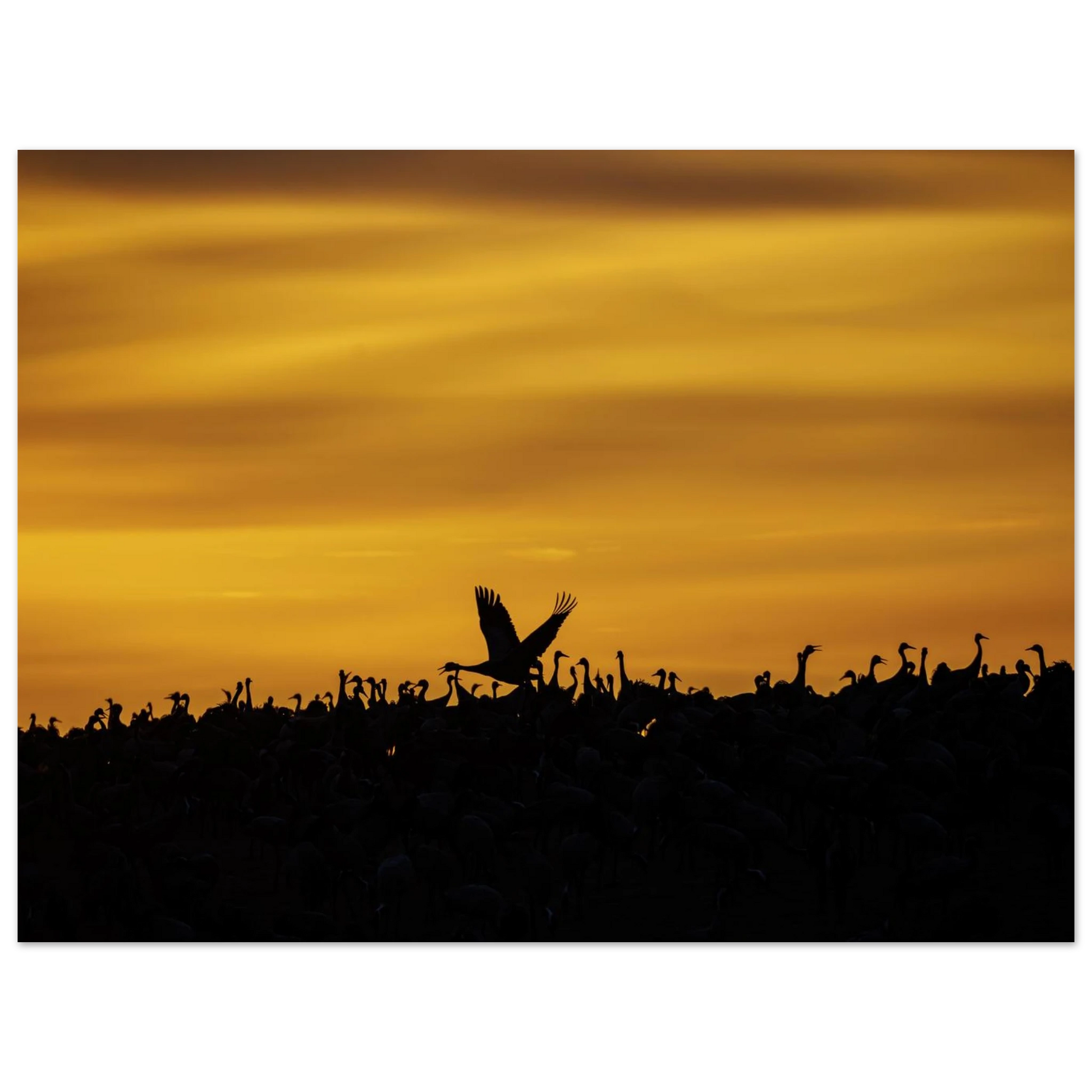 309d2229-5b9a-494c-98cd-3fccb5fe1afa