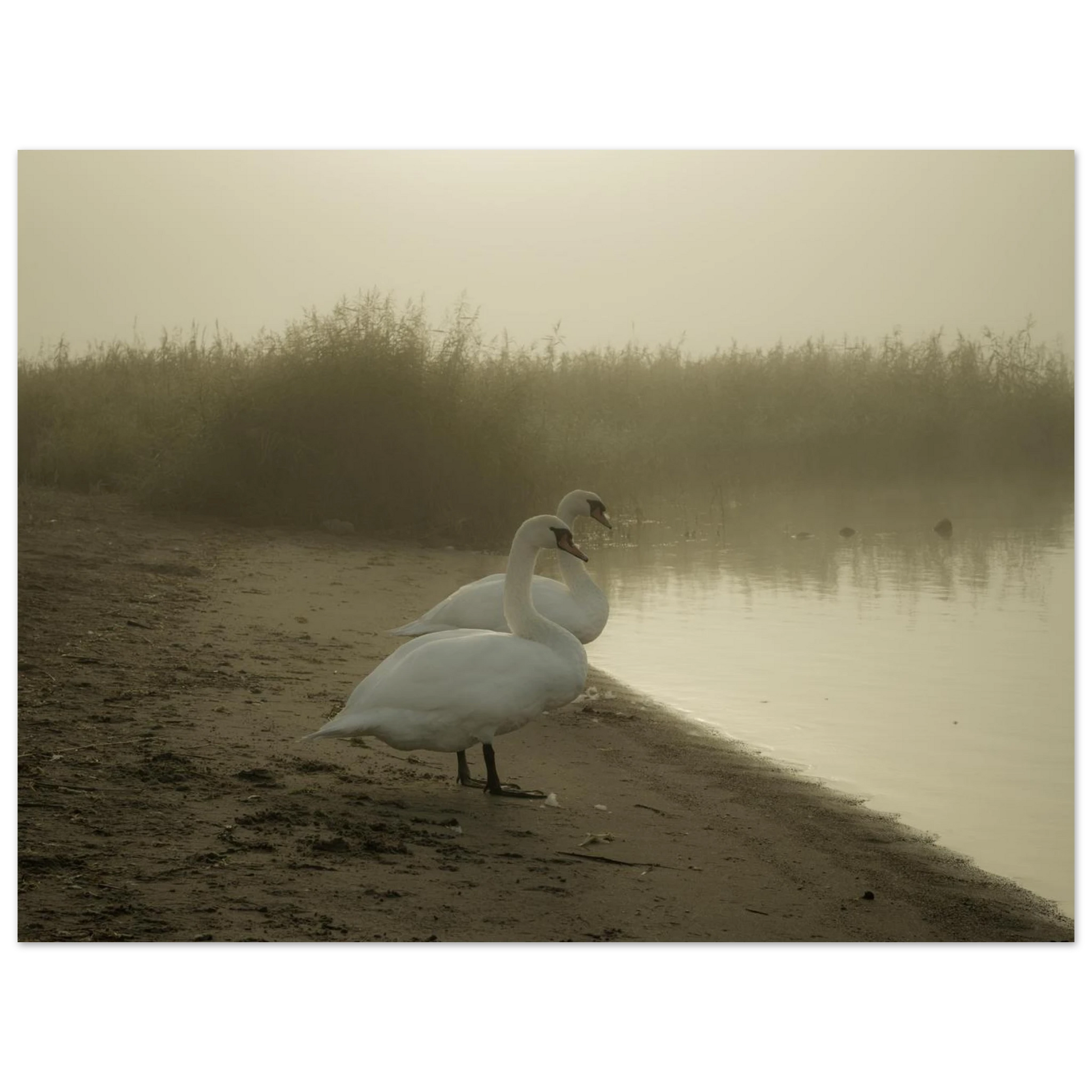 326752d6-baaa-4c2e-abaa-5b0181606191