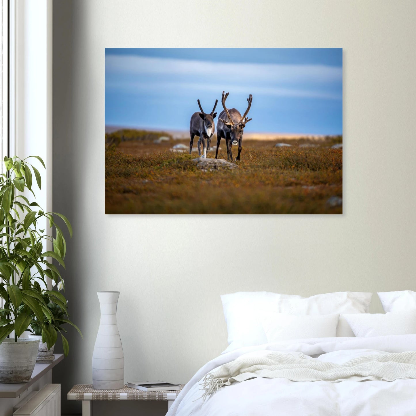 37f31ab9-9371-4a62-9174-70006f414b37