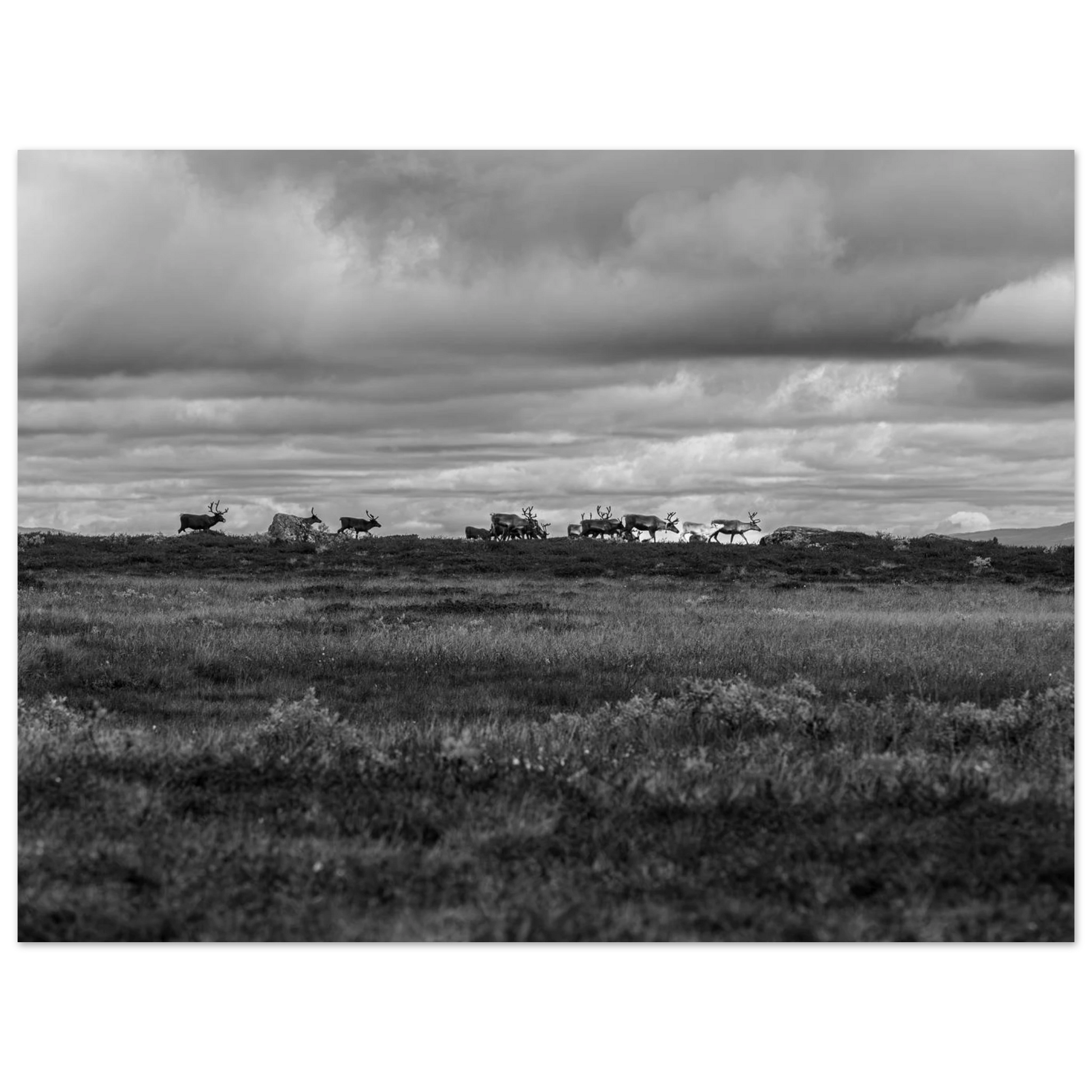 3e2e08f7-d768-4bd9-8d2a-fc1490c7866f