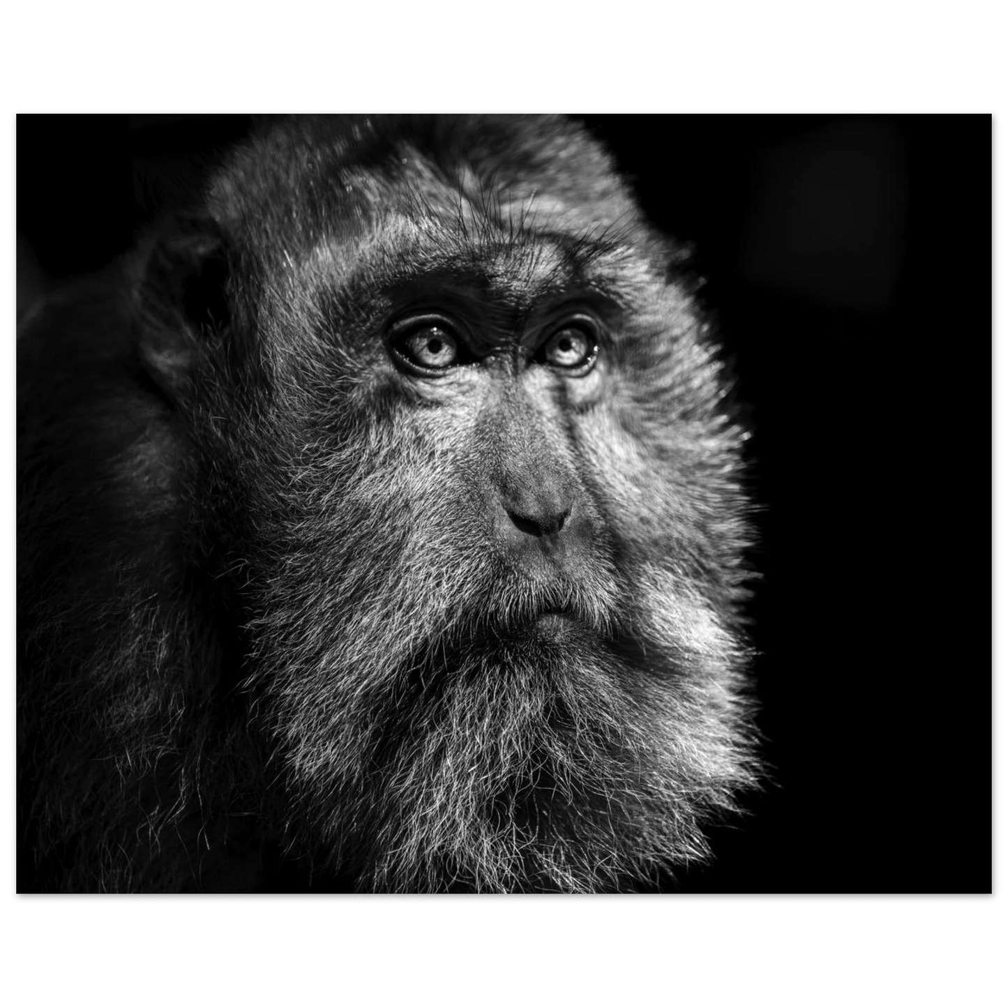 3f656571-a5f7-4ae9-8919-d27463ad2536