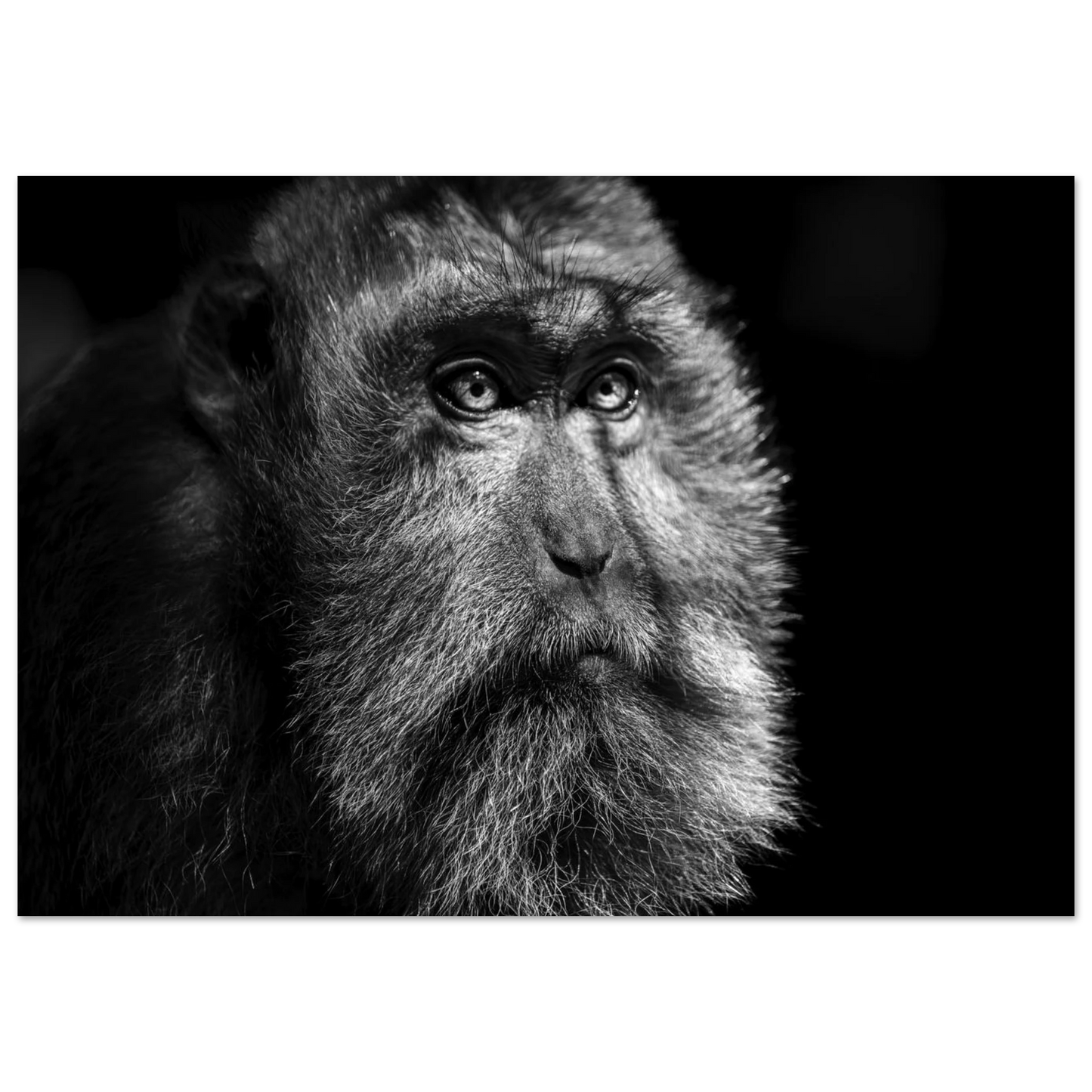 41113bb8-4df0-4291-9008-3b1983b74fd4