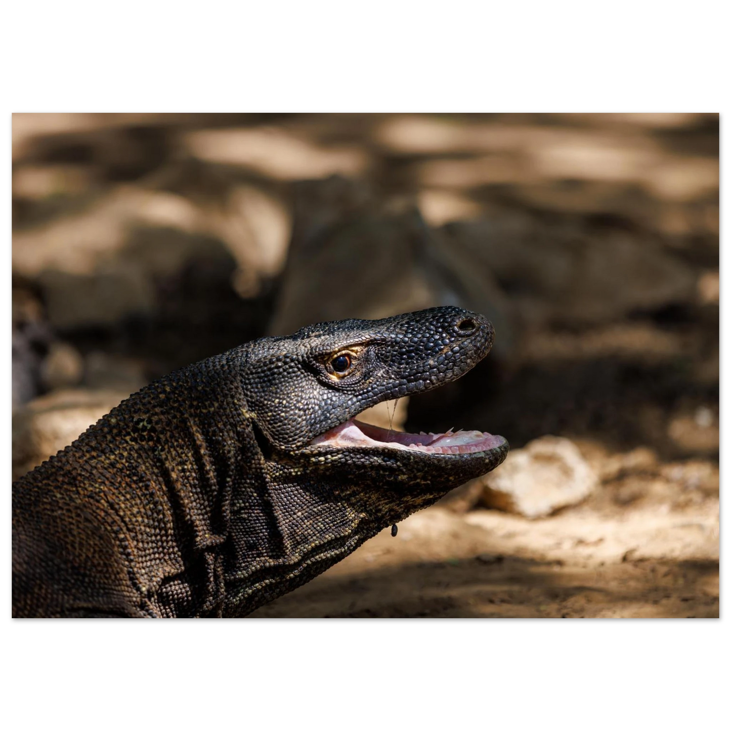 4166c838-2ae2-4770-8bc3-f6c4c266c8cc