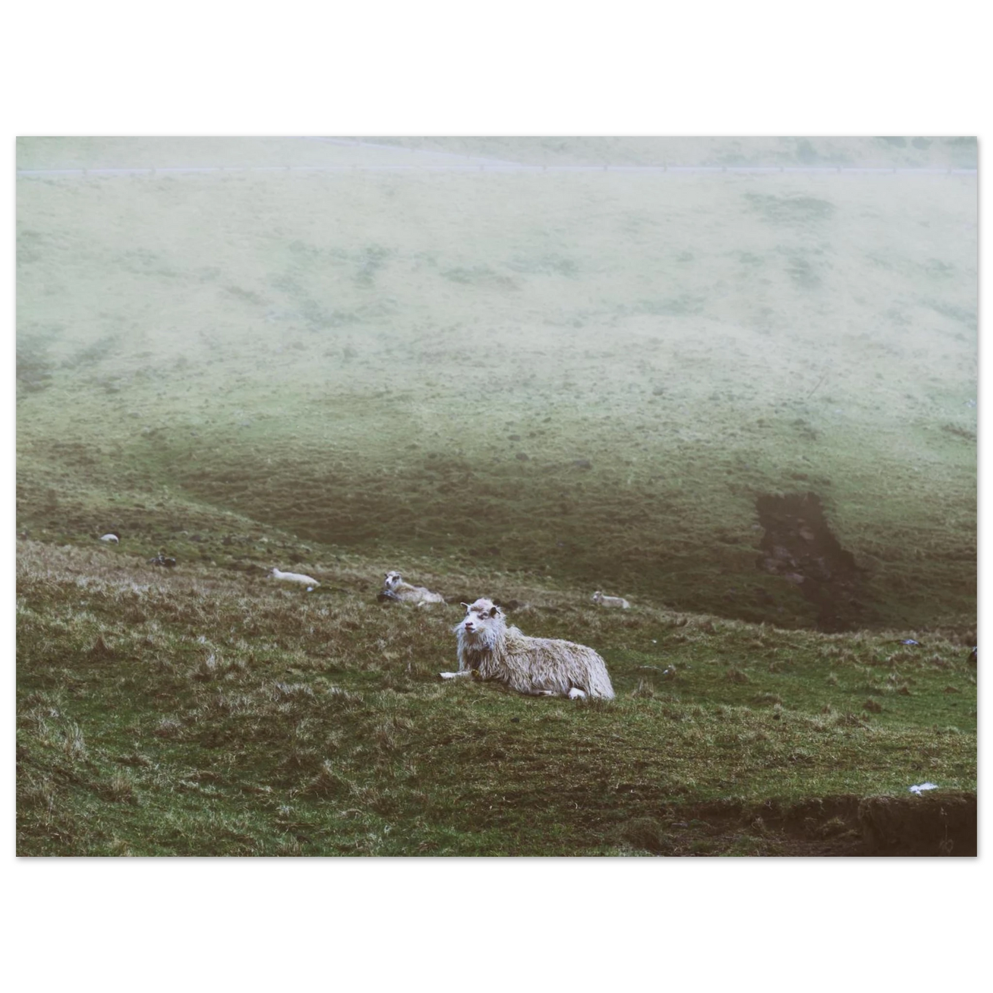 41805df9-d64c-4333-a269-a33952044c78