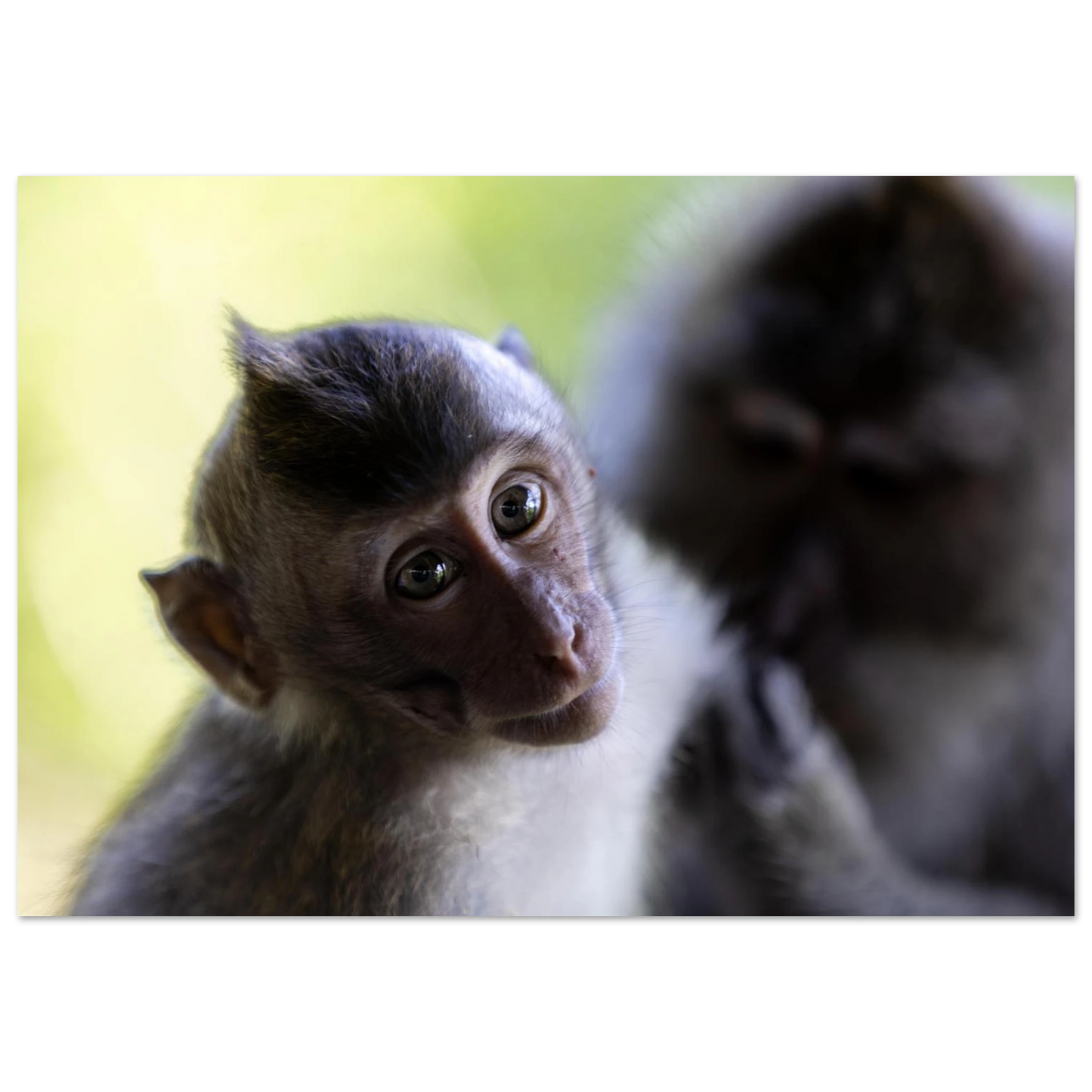 43962182-d754-4b1f-9b91-90d6f1005586