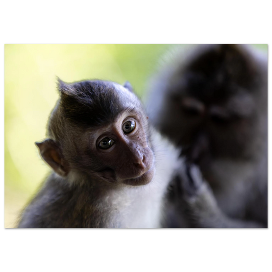 43962182-d754-4b1f-9b91-90d6f1005586