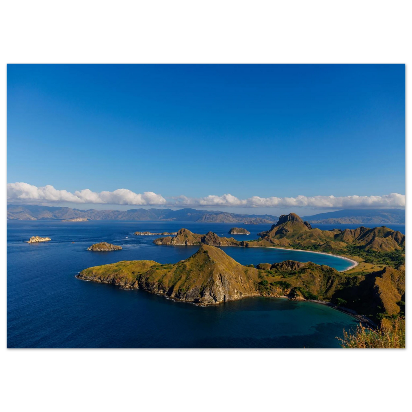 47cc2313-455f-4d45-bec8-a44a9ee41120