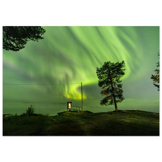 4974fa53-bd03-4335-ab61-c55678e36156