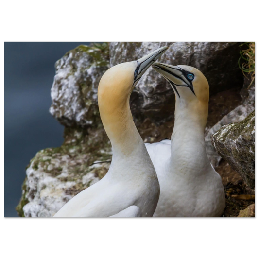 50d35b24-68ce-4b70-8f70-5378c7b1c525