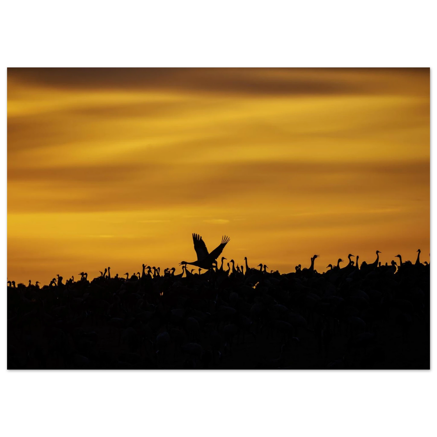 55d9aa04-2207-4de3-a3ef-0112a007dea4