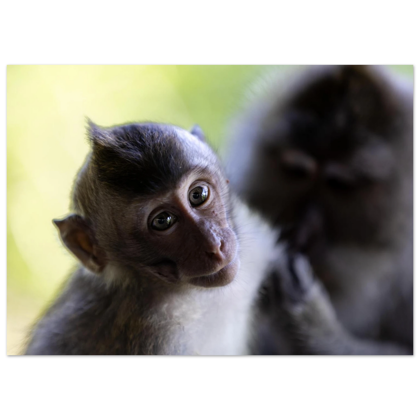 5e826cf4-5414-4fda-acc6-4b0218de72e4