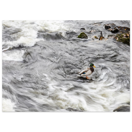 5f4f78c6-21d3-46cb-9f8a-1e29446f0d96