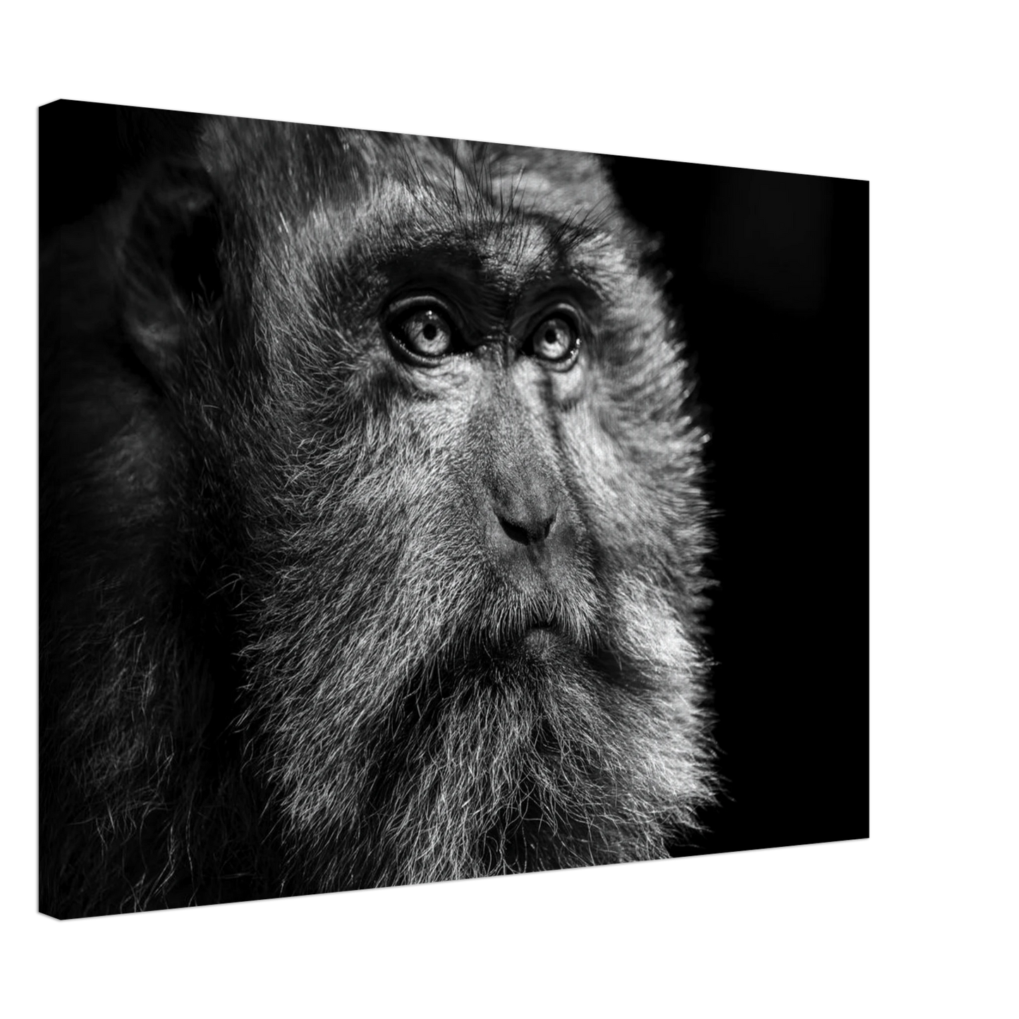 6aa9f4ec-9db3-4513-b684-cdeb51b8162d