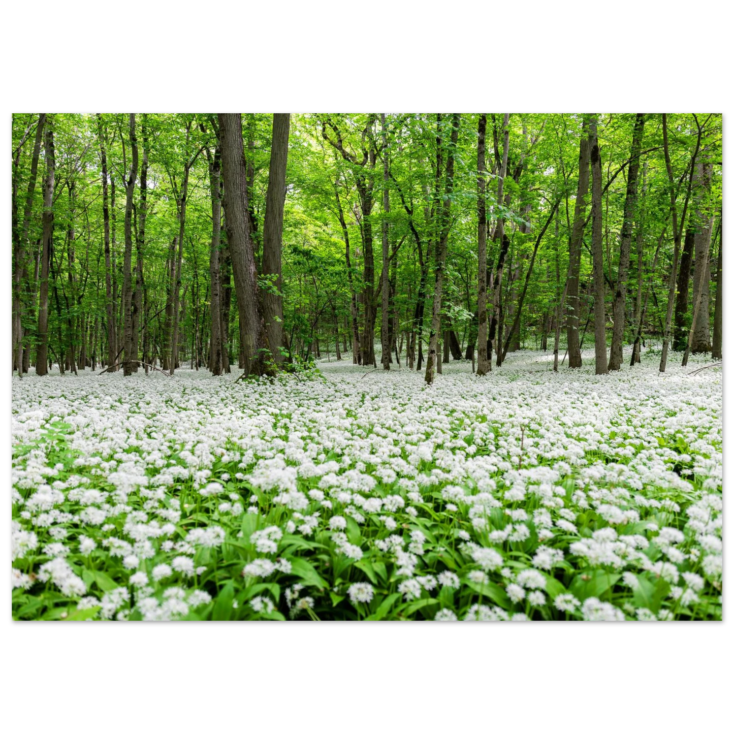 6fc3682f-47db-4682-b6d7-a64a4d244617