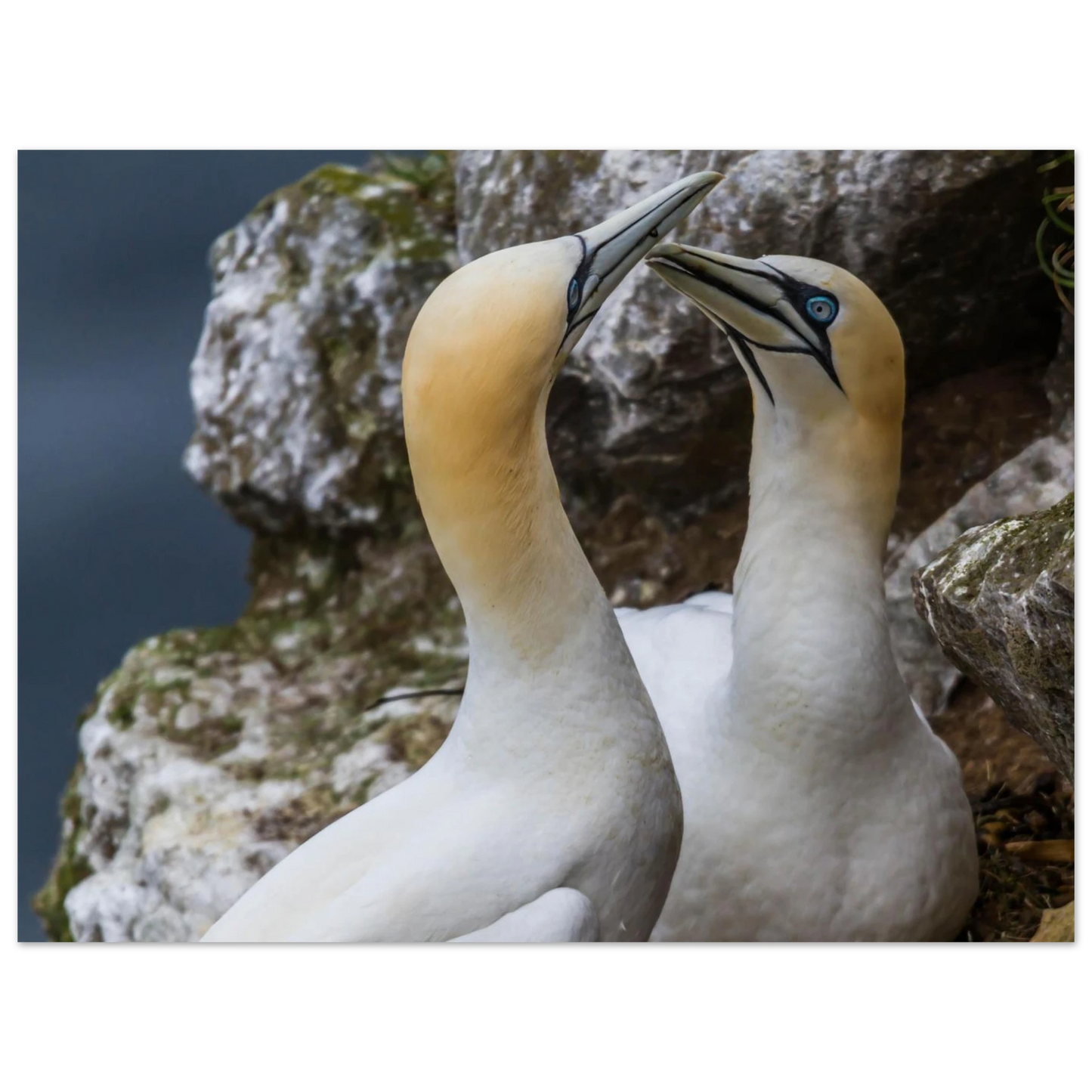 7933768c-b525-4fde-94d5-e957ea24f22d