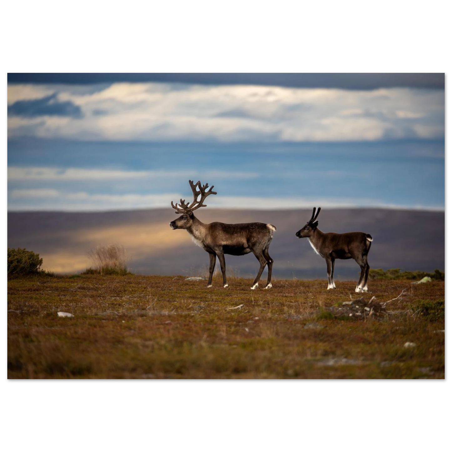 798276b1-010a-4c83-ae93-8886778ca9d5