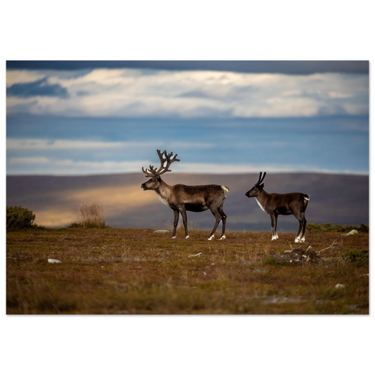 798276b1-010a-4c83-ae93-8886778ca9d5