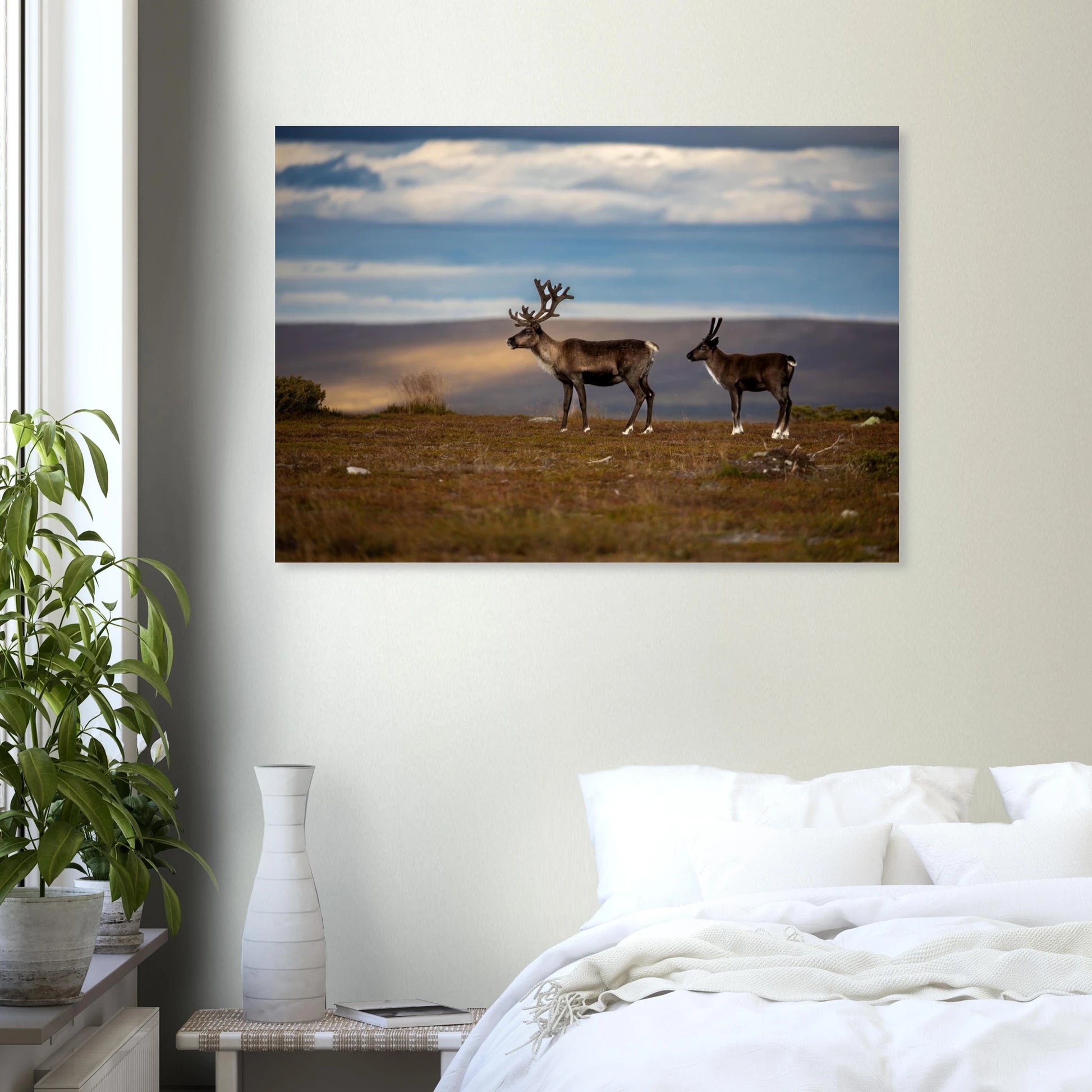 79c5b82c-56d1-4a74-9127-8b29df31cad5