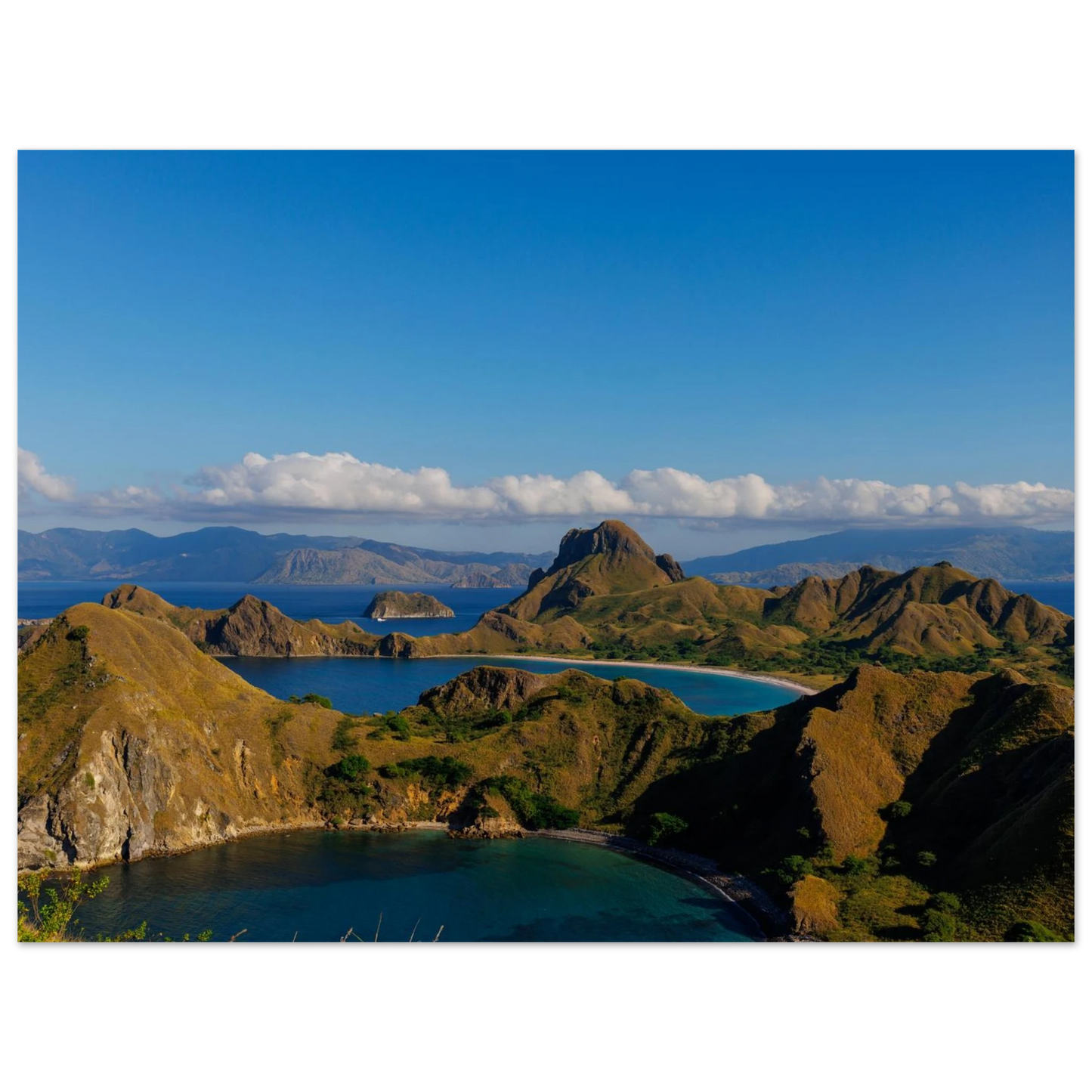 7e2fa887-10f8-404a-9a69-259198ded86a