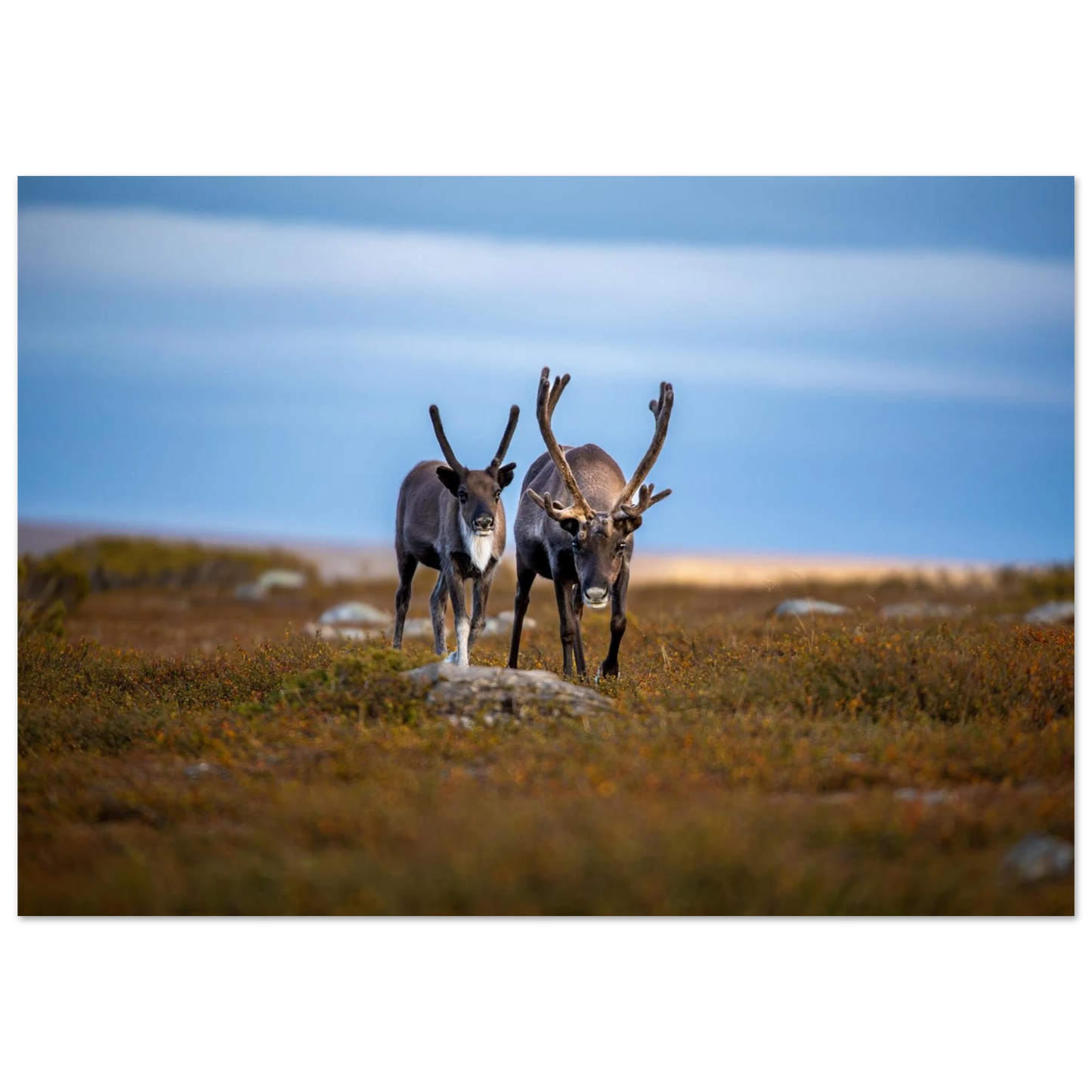 83d96bd9-ddb9-41d1-a9d5-fa5e2ea85de2