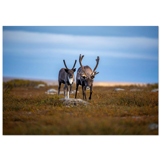 83d96bd9-ddb9-41d1-a9d5-fa5e2ea85de2