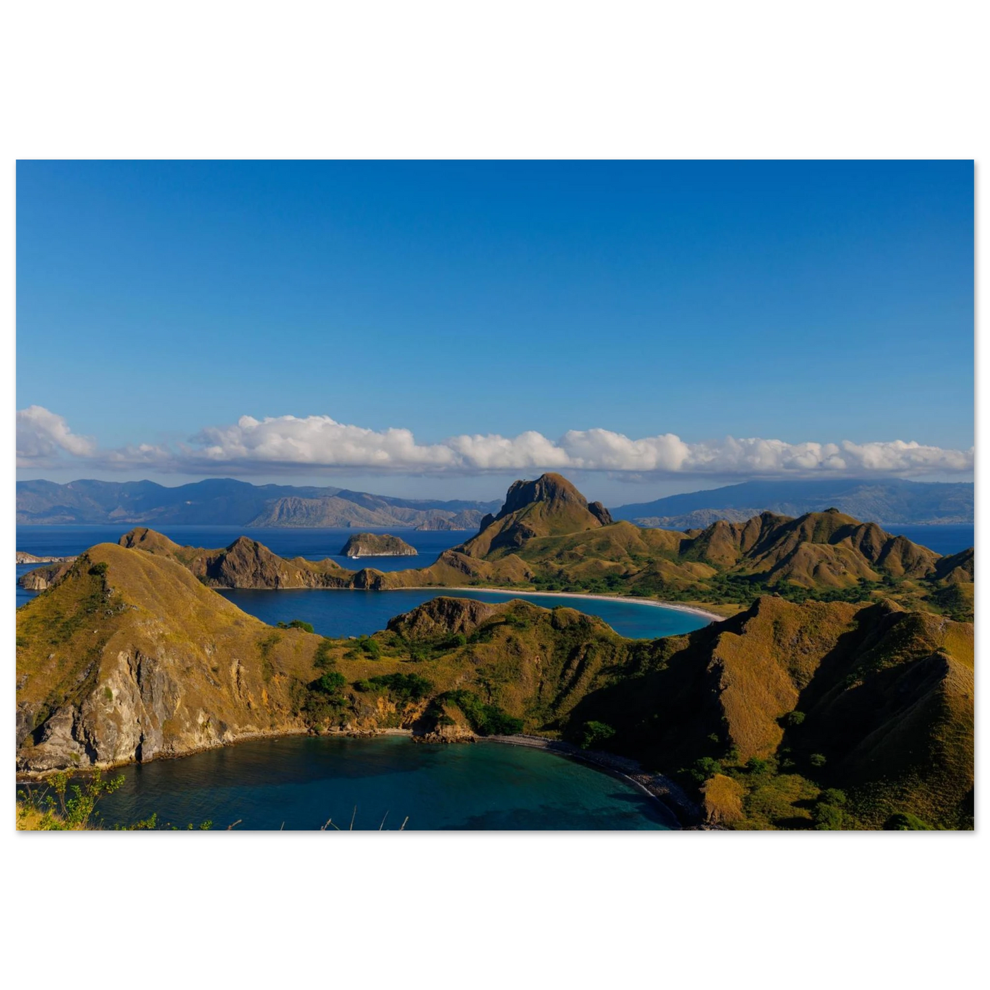 8450c723-6aae-495d-898a-056bec35d30f