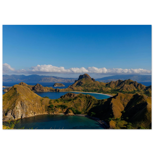 8450c723-6aae-495d-898a-056bec35d30f