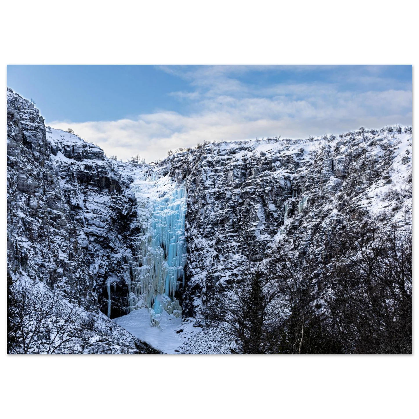 85bbef31-0510-42b7-a4c6-6d4c06b6f2fe