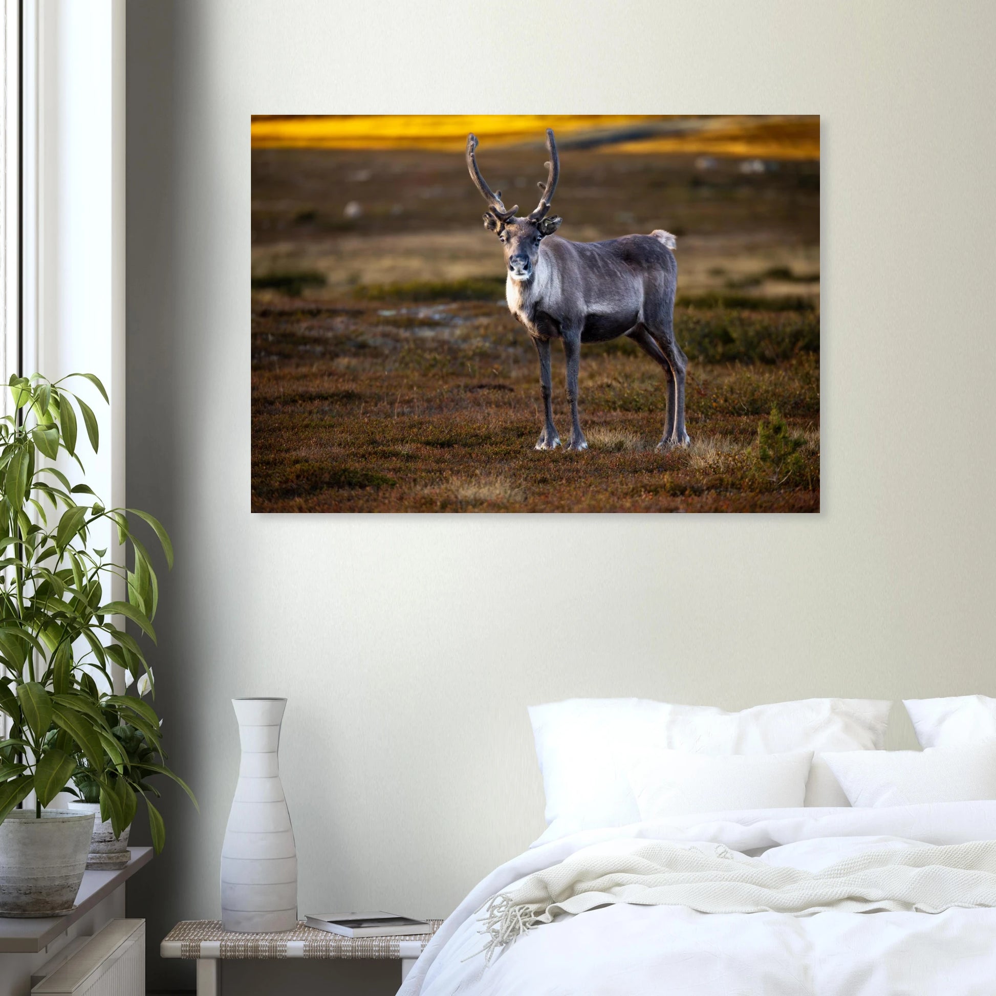 87626b74-d426-4991-8a6d-af23849ef45a