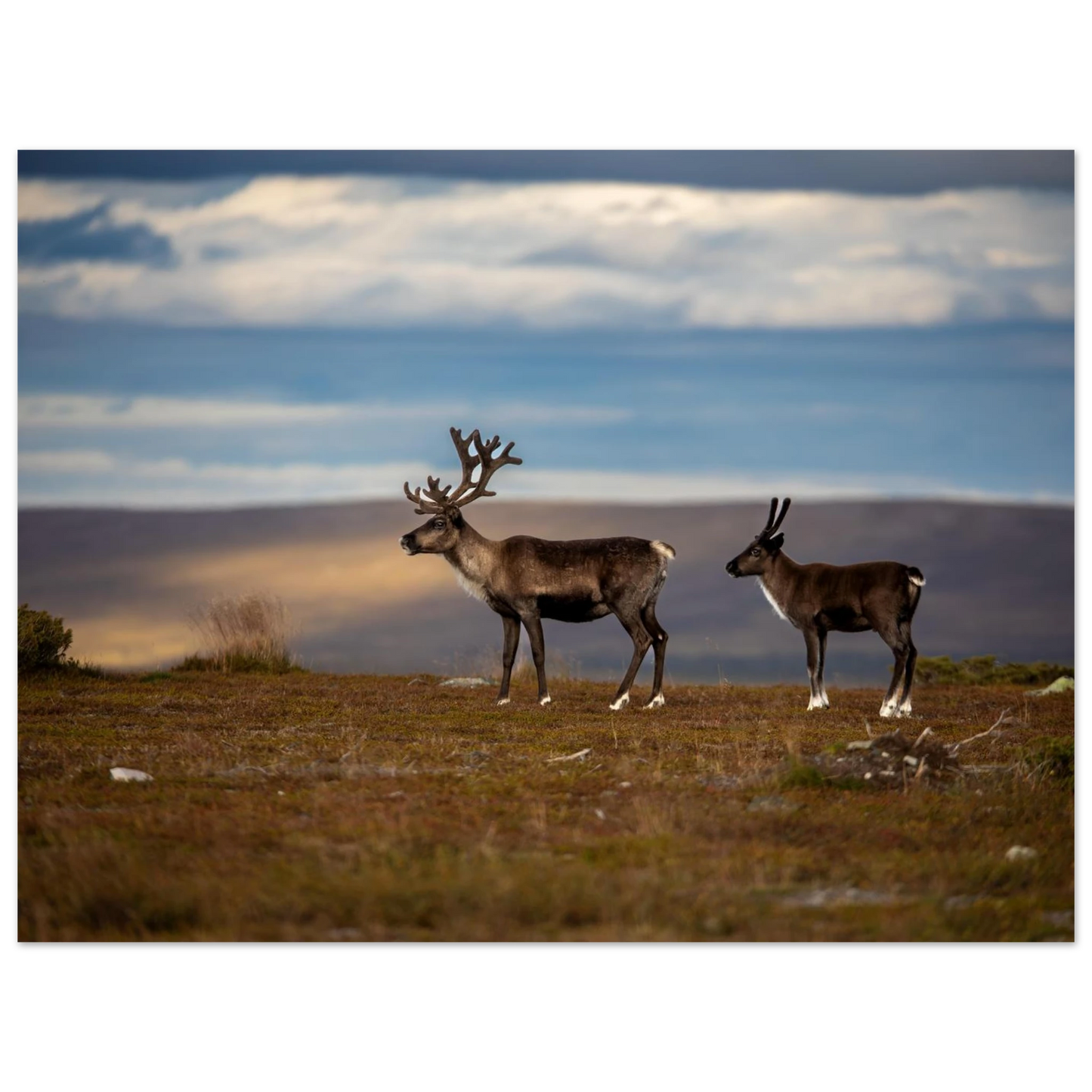 8f7a7692-1e49-452b-8452-df38c66fec05