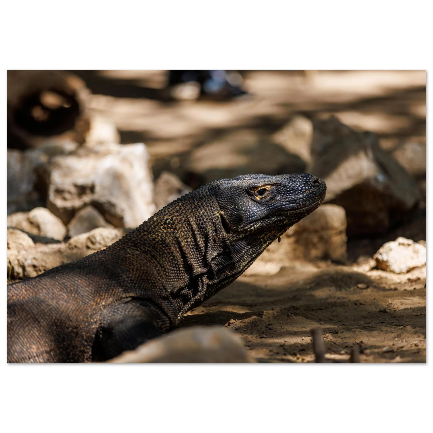 90156a50-93a3-4a1d-a626-7bb043c85178