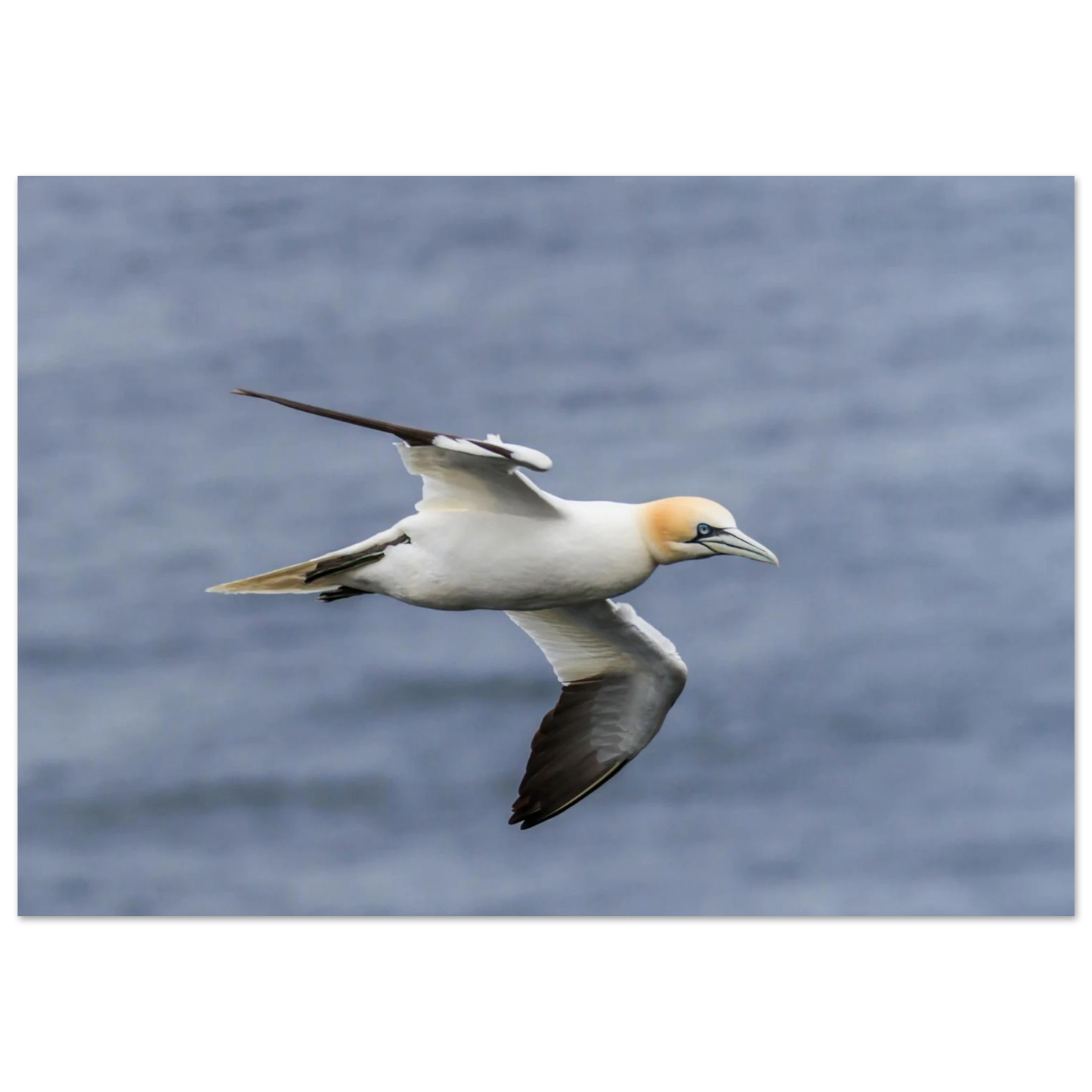 9220e669-167b-4e5e-9b36-a8603366b73a