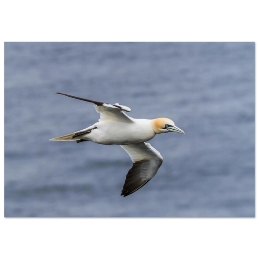 9220e669-167b-4e5e-9b36-a8603366b73a