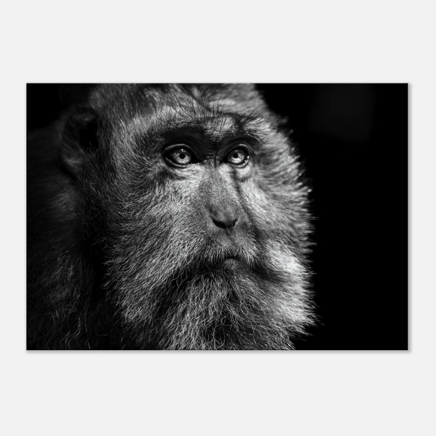 9ae6426d-62e8-4df5-8c21-1f202b6f11ed