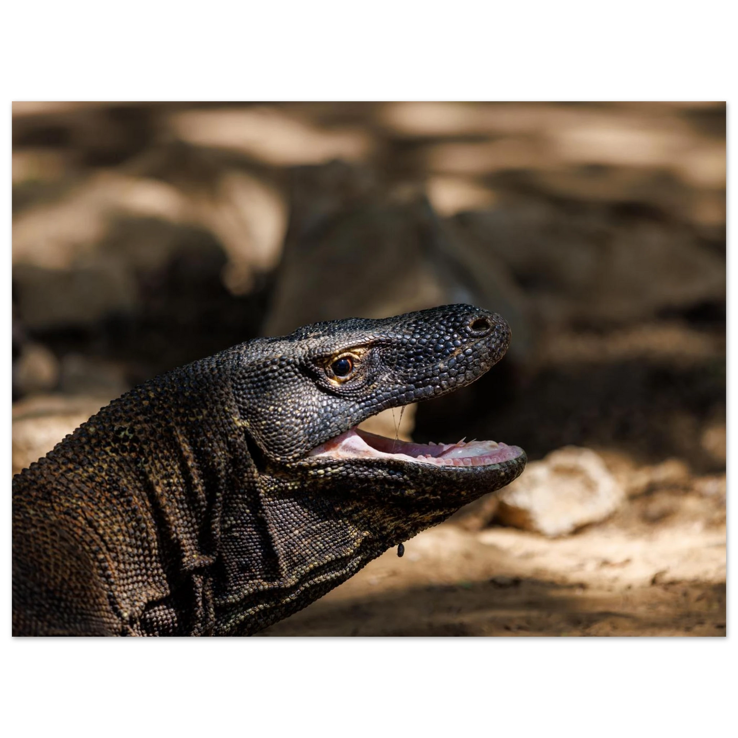 a04792fb-8bda-4a0d-a6f4-d9e1ffd940e1